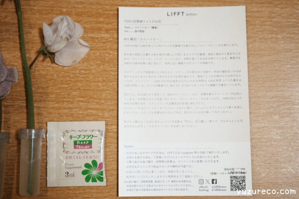 LIFFT（リフト）　ポストカード