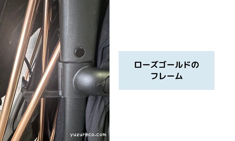 サイベックスコヤのローズゴールドフレーム