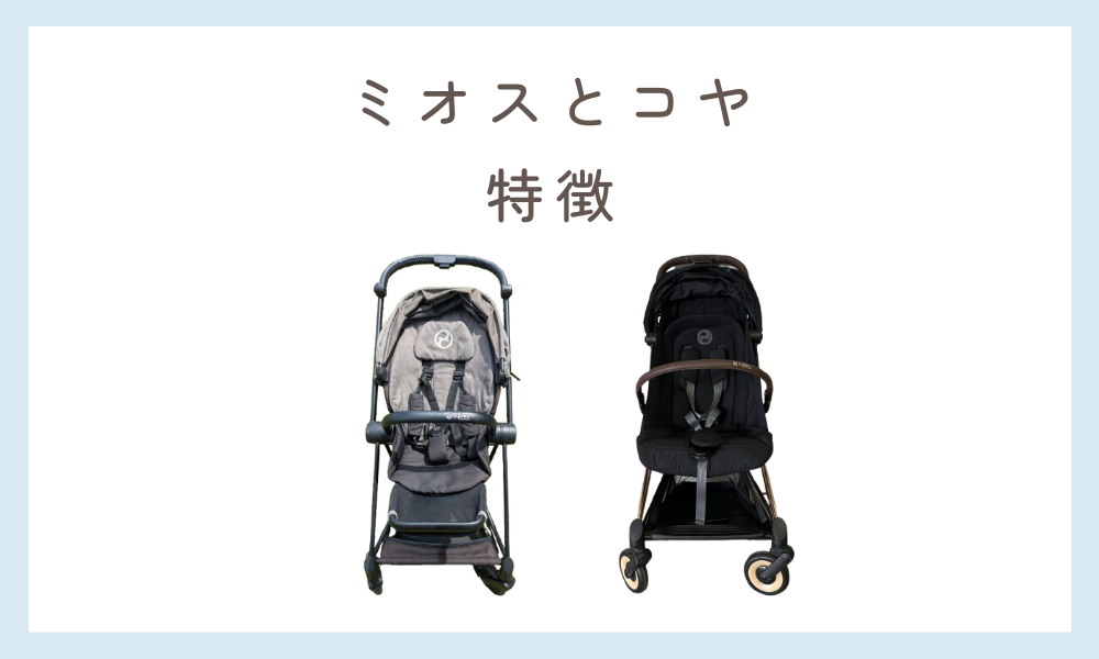 サイベックスミオスとコヤの特徴