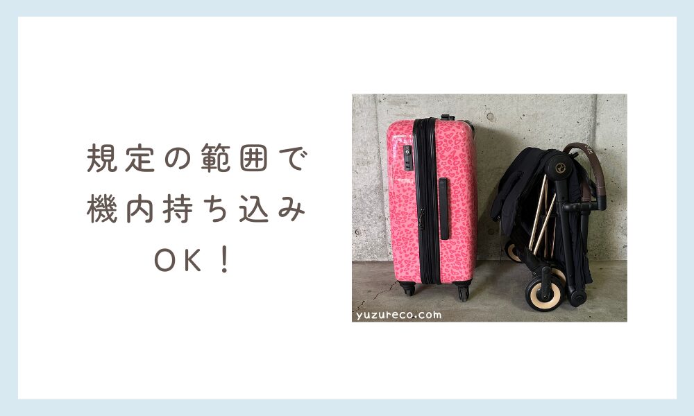サイベックスコヤ 機内持ち込み