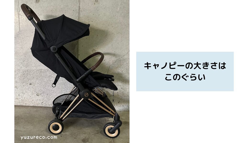 サイベックスコヤのキャノピー
