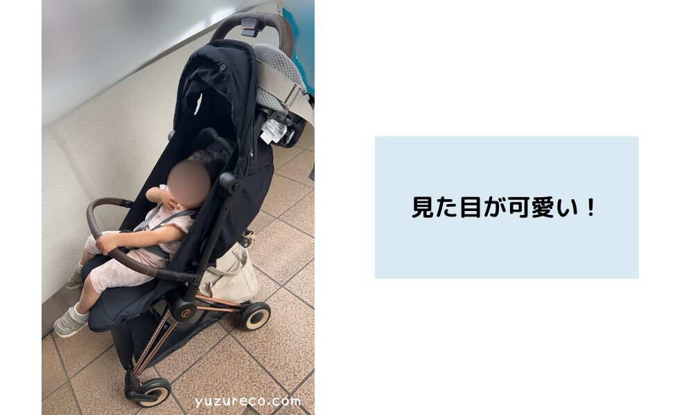 サイベックスコヤの見た目
