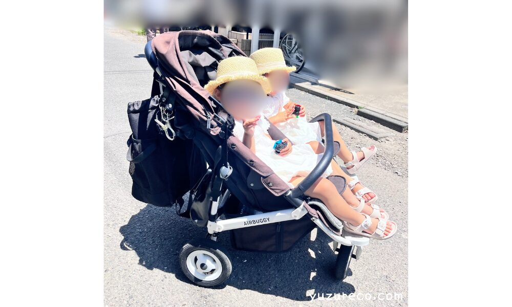 エアバギーココダブルの見た目